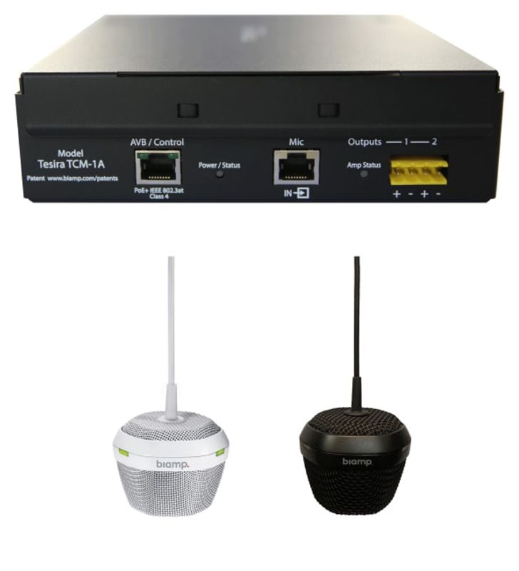 Biamp AVB Beamtracking Takmikrofon POE+ 2x40W Amp 5m Kabel